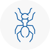 Ant Removals In South Elmsall