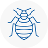 Bed Bug Extermination In South Elmsall