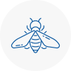 Bee Nest Removal South Elmsall