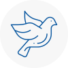 Bird Prevention South Elmsall
