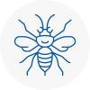 South Elmsall Hornet Nest Removals