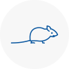Mice Exterminators In South Elmsall