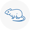 Rat Control South Elmsall