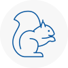 South Elmsall Rodent Removals