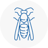 South Elmsall Wasp Nest Removal